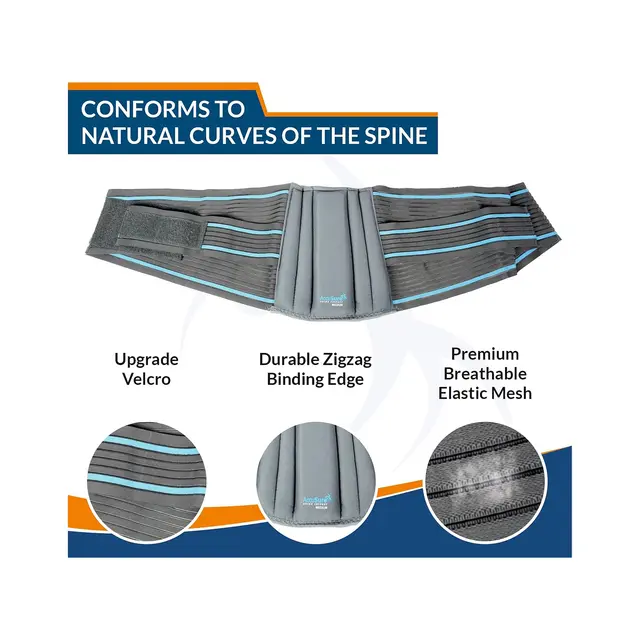 Accusure Contoured LS Belt Small (B5)